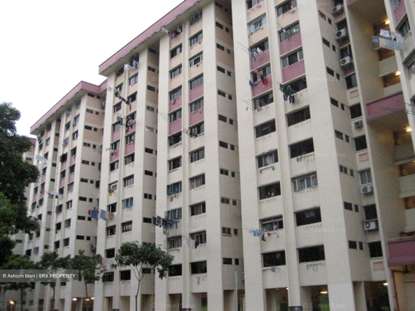 Blk 50 Chai Chee Gardens (Bedok), HDB 3 Rooms #638124591
